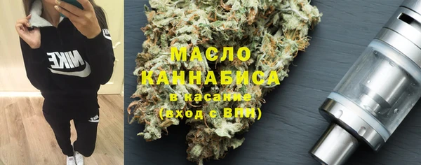 гидра Абаза